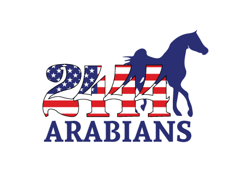 2444 Arabians