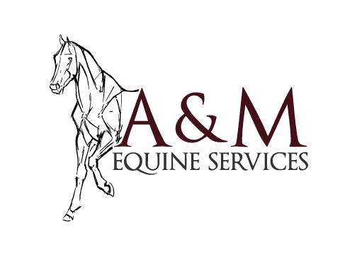 AM Equine Services