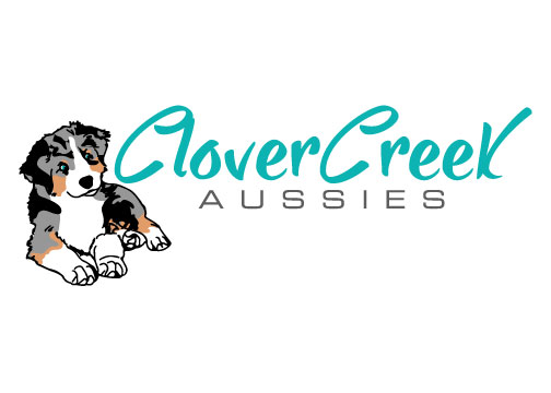 Clover Creek Aussies