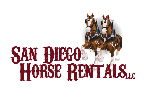 San Diego Horse Rentals