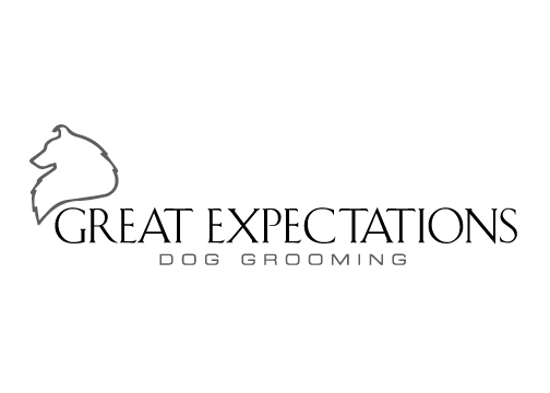 Great Expectations