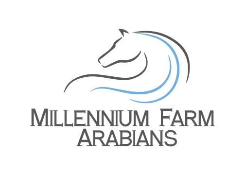 Millenium Farm Arabians