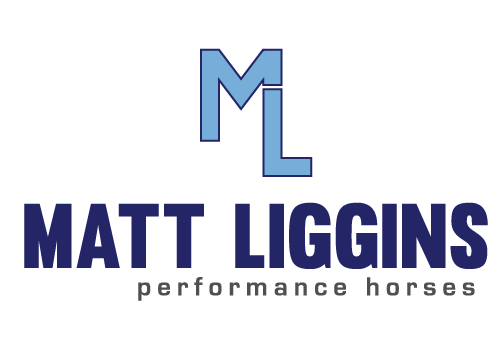 Matt Liggins Performance horses