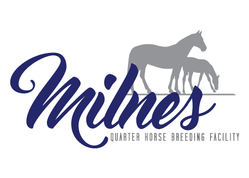 Milnes Quater Horses