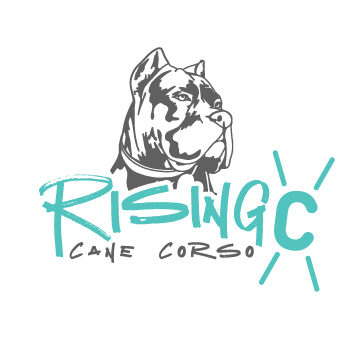 Rising C Cane Corso