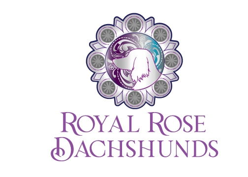 Royal Rose Dachshunds