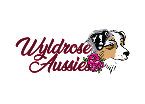 Wyldrose Aussies